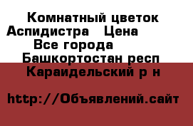 Комнатный цветок Аспидистра › Цена ­ 150 - Все города  »    . Башкортостан респ.,Караидельский р-н